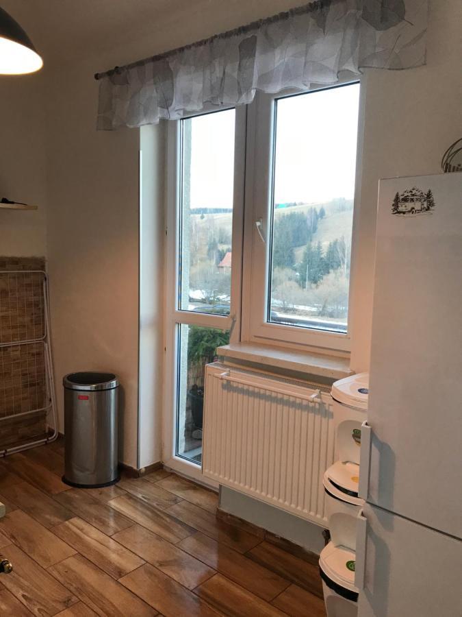 Apartman Orlicke Zahori Bagian luar foto