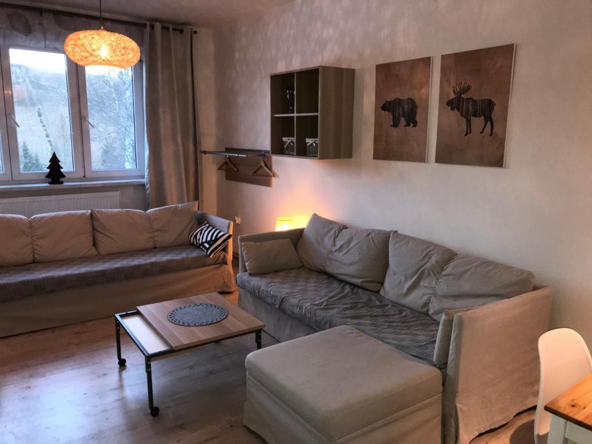 Apartman Orlicke Zahori Bagian luar foto