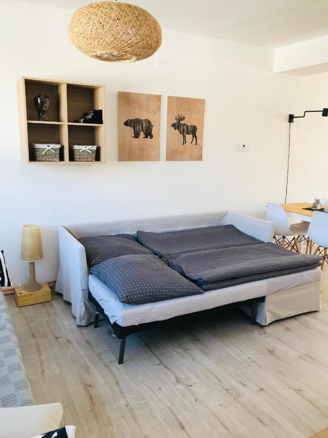 Apartman Orlicke Zahori Bagian luar foto