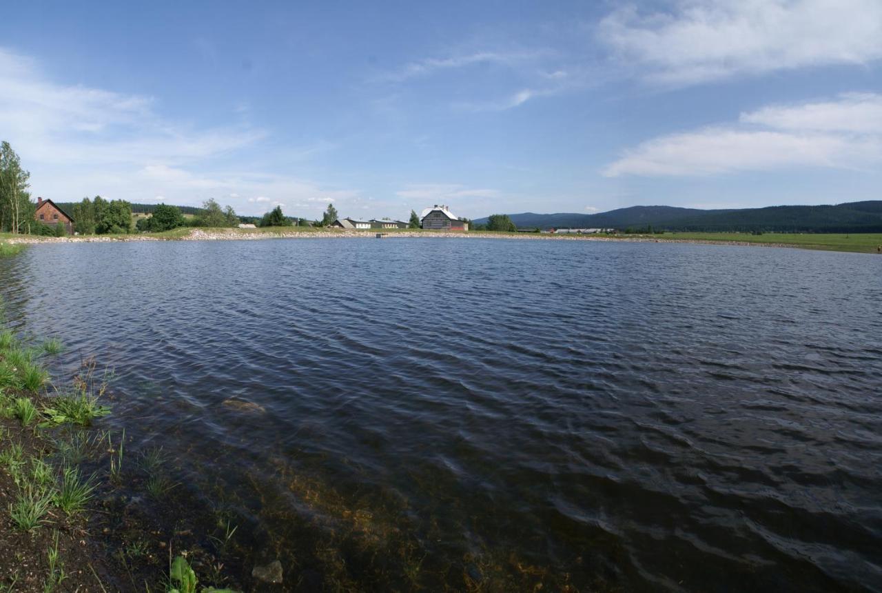 Apartman Orlicke Zahori Bagian luar foto